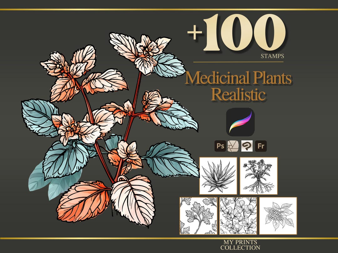 Medicinal Plants Realistic Procreate Stamps & Photoshop Brushes – 100 ...
