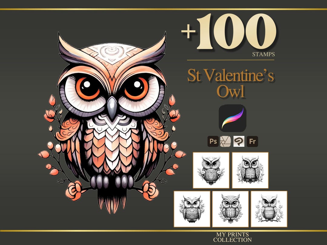 St Valentines Owl Procreate Stamps & Photoshop Brushes – 100+ Romance ...