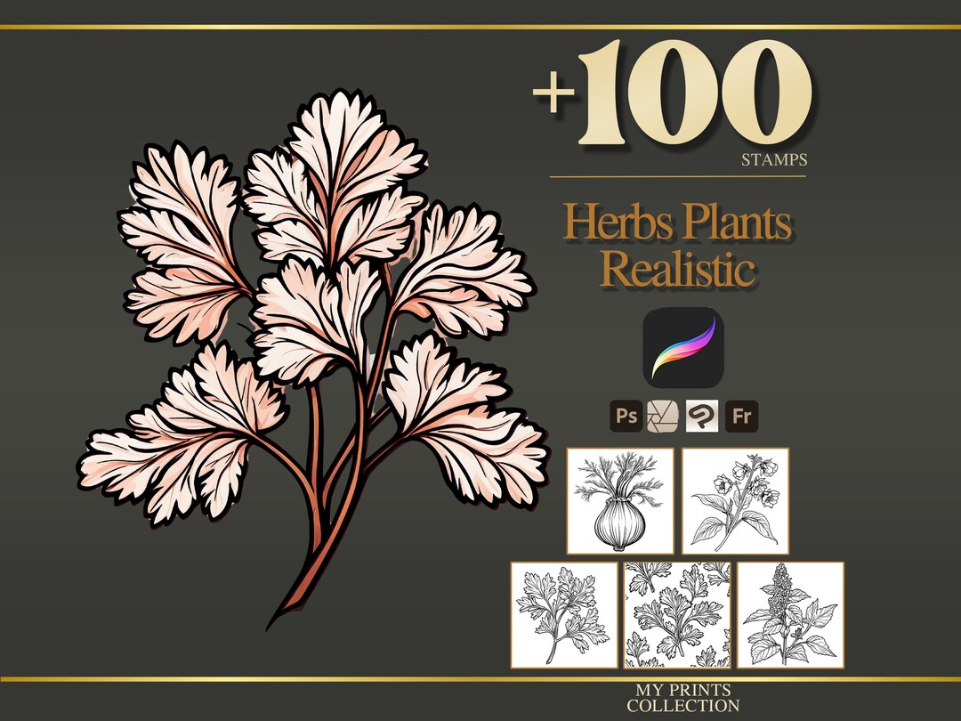 Herbs Plants Realistic Procreate Stamps & Photoshop Brushes – 100 ...