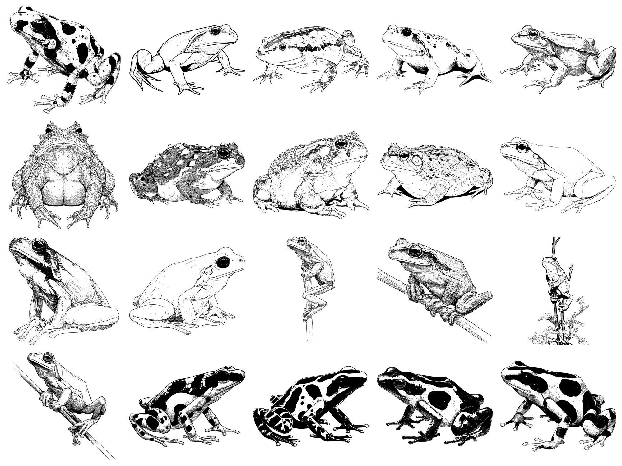 Frog Pet Realistic Photoshop Brushes & Procreate Stamps – 100+ Tattoo ...