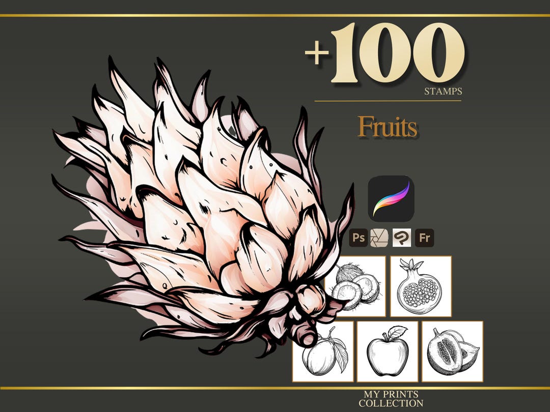Fruits Procreate Stamps & Photoshop Brushes – 100+ Food Beverage ...