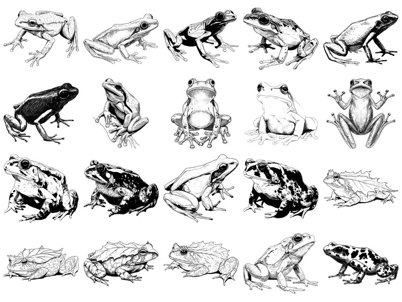 Frog Pet Realistic Photoshop Brushes & Procreate Stamps – 100+ Tattoo ...