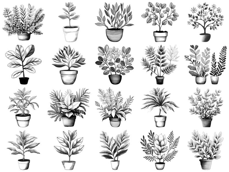 Plant Pot Photoshop Brushes & Procreate Stamps – 100+ Flower Botanical ...