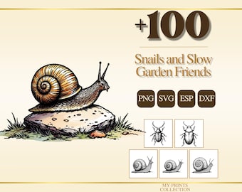 May include: A digital illustration of a snail on a rock with the text +100 Snails and Slow Garden Friends, PNG, SVG, ESP, DXF. Below are smaller black and white line art icons of beetles and snails, with the text My Prints Collection at the bottom.