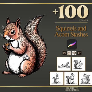 May include: A digital illustration of a squirrel holding an acorn, featuring the text +100 STAMPS Squirrels and Acorn Stashes, along with software icons and five smaller black and white squirrel stamp examples on a dark gray background.