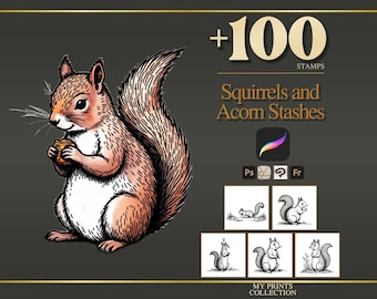 May include: A digital illustration of a squirrel holding an acorn, featuring the text +100 STAMPS Squirrels and Acorn Stashes, along with software icons and five smaller black and white squirrel stamp examples on a dark gray background.