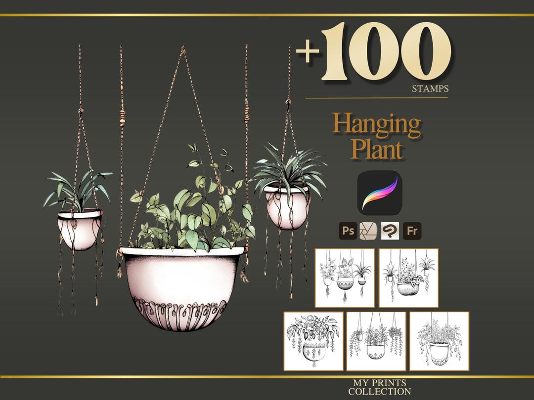 Hanging Plant Procreate Stamps & Photoshop Brushes – 100+ Flower ...