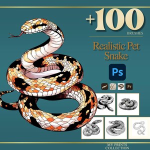 Puede incluir: Ilustración de una serpiente mascota realista en tonos naranja, negro y blanco, con el texto "+100 BRUSHES Realistic Pet Snake Ps". Debajo hay varios bocetos de serpientes en escala de grises. El fondo es verde azulado.