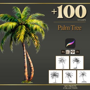 Palme Procreate Stempel & Photoshop Pinsel - 100+ Blume Botanische Natur Tattoo, Illustration, Linie Kunst, Schablone, Pinsel Paket