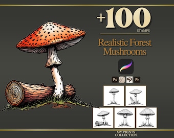 May include: A digital illustration of a red-capped mushroom with black spots growing next to a brown log on green grass. The text reads +100 STAMPS Realistic Forest Mushrooms, along with software icons and five small black and white mushroom stamp samples.