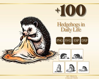 Hedgehogs in Daily Life PNG Clipart, 100+ Cozy Daily Life Animal Transparent Download, Cottagecore Commercial Use SVG EPS Dxf
