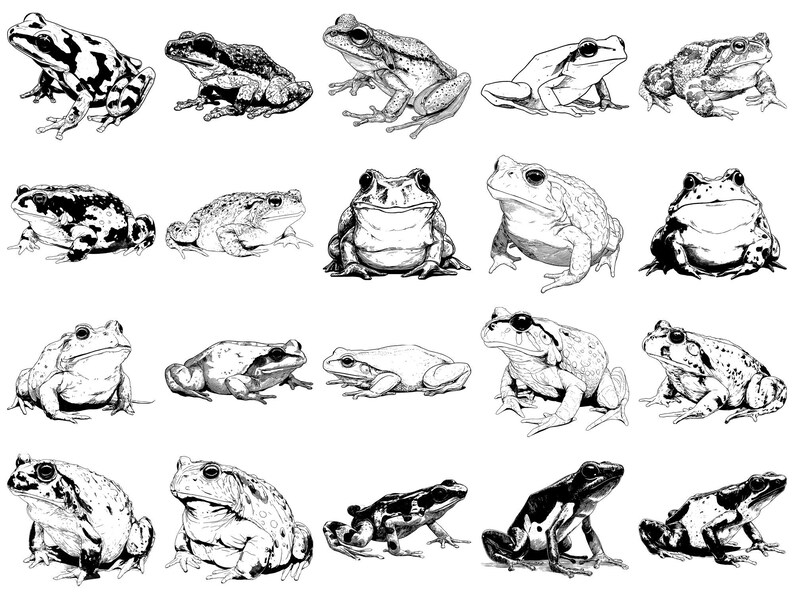Frog Pet Realistic Photoshop Brushes & Procreate Stamps – 100+ Tattoo ...