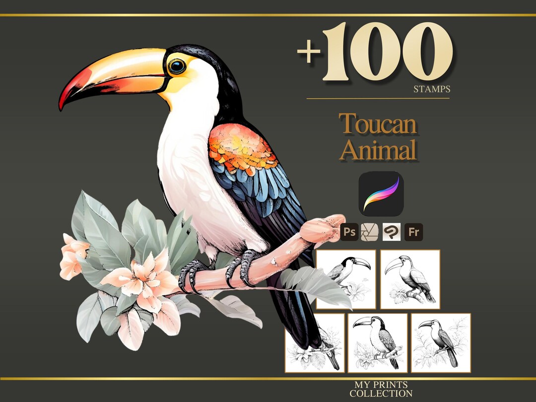 Toucan Procreate Stamps & Photoshop Brushes – 100+ Realistic Animal Pet ...