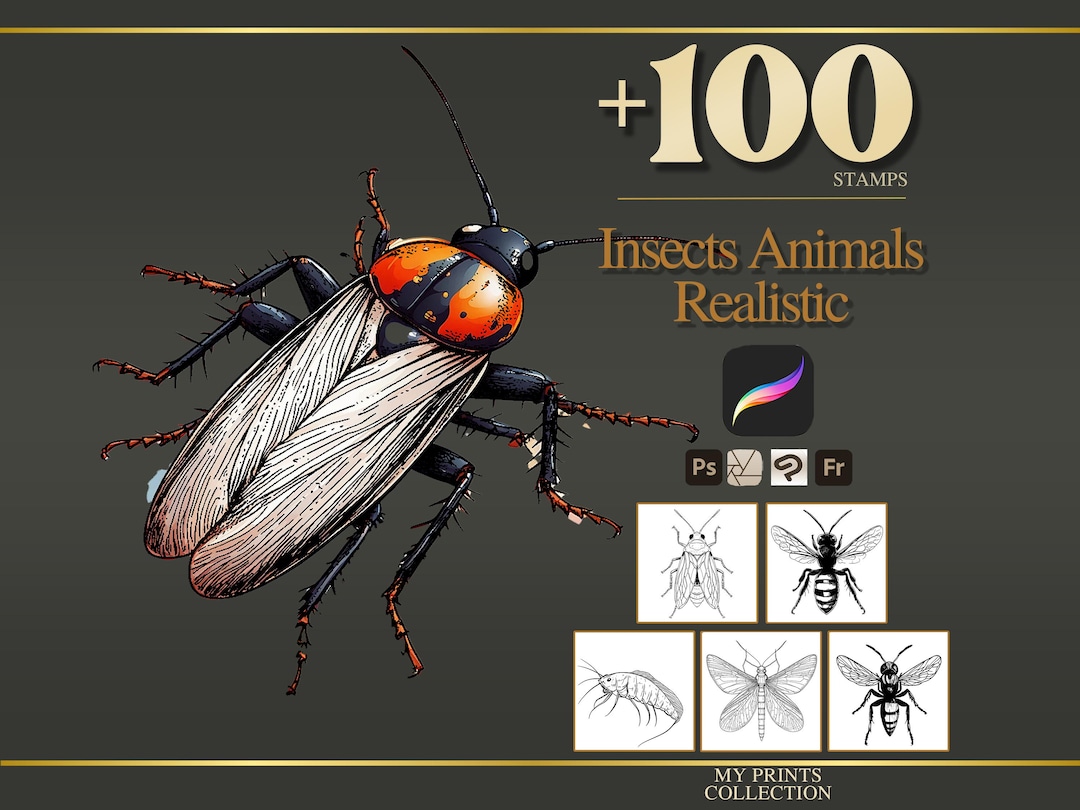 Insects Realistic Animals Procreate Stamps & Photoshop Brushes – 100 ...