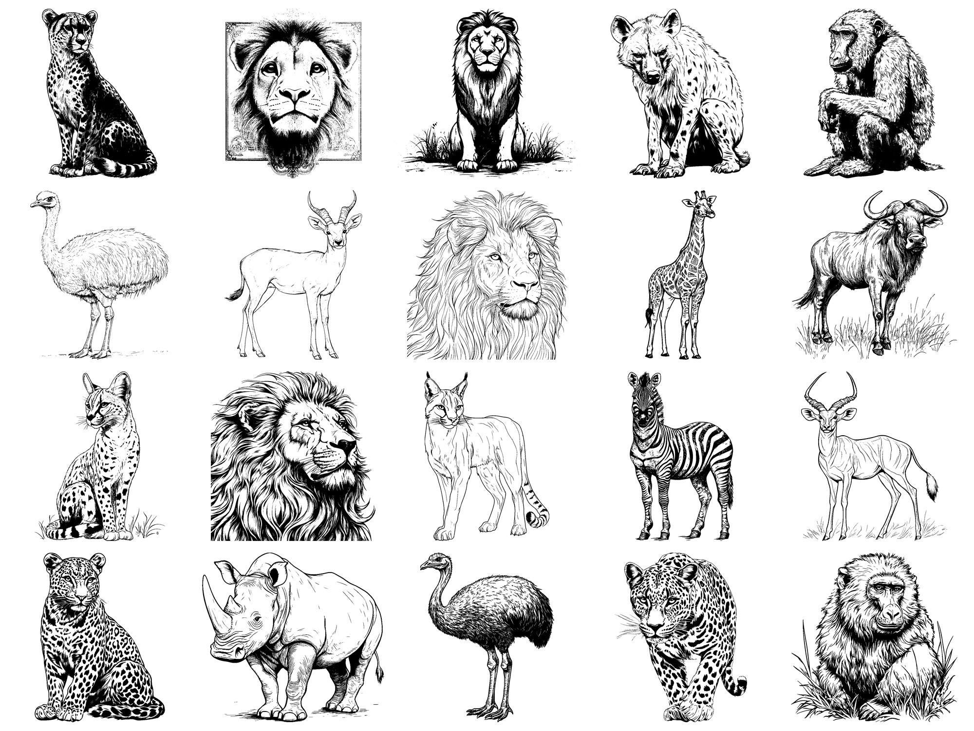 Safari Realistic Animals Procreate Stamps & Photoshop Brushes – 100 ...