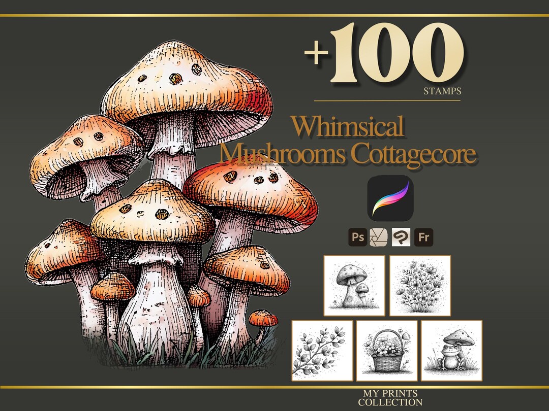 Whimsical Mushrooms Cottagecore Procreate Stamps & Photoshop Brushes ...