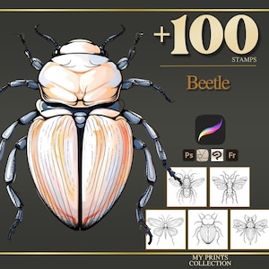 Beetle Procreate Stamps & Photoshop Brushes – 100+ Tattoo Realistic Insect Bug, Illustration, Line Art, Stencil, Brush Pack