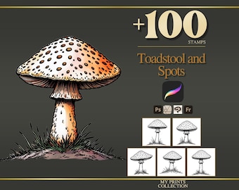 May include: A digital illustration of a mushroom with a spotted cap and a thick stem, surrounded by grass. The text reads +100 STAMPS, Toadstool and Spots, and MY PRINTS COLLECTION, alongside icons for Procreate, Photoshop, and other design software.