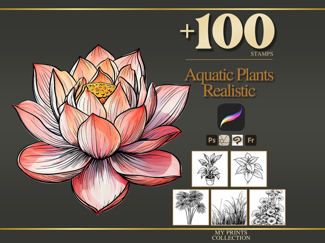 Aquatic Plants Realistic Procreate Stamps & Photoshop Brushes – 100 ...