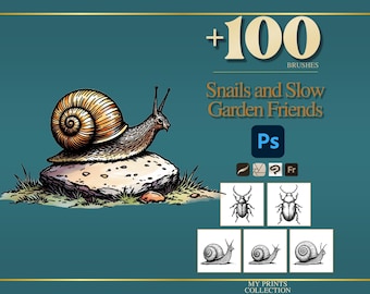 May include: A digital collection of over 100 brushes titled +100 Brushes Snails and Slow Garden Friends. The graphic features a detailed illustration of a snail on a rock, a Photoshop icon, and five smaller black and white insect and snail sketches.
