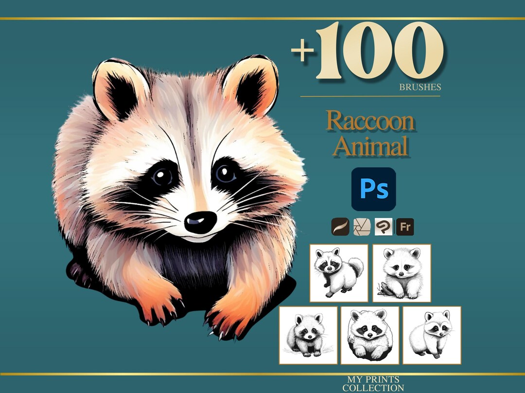 Raccoon Photoshop Brushes & Procreate Stamps – 100+ Realistic Animal ...