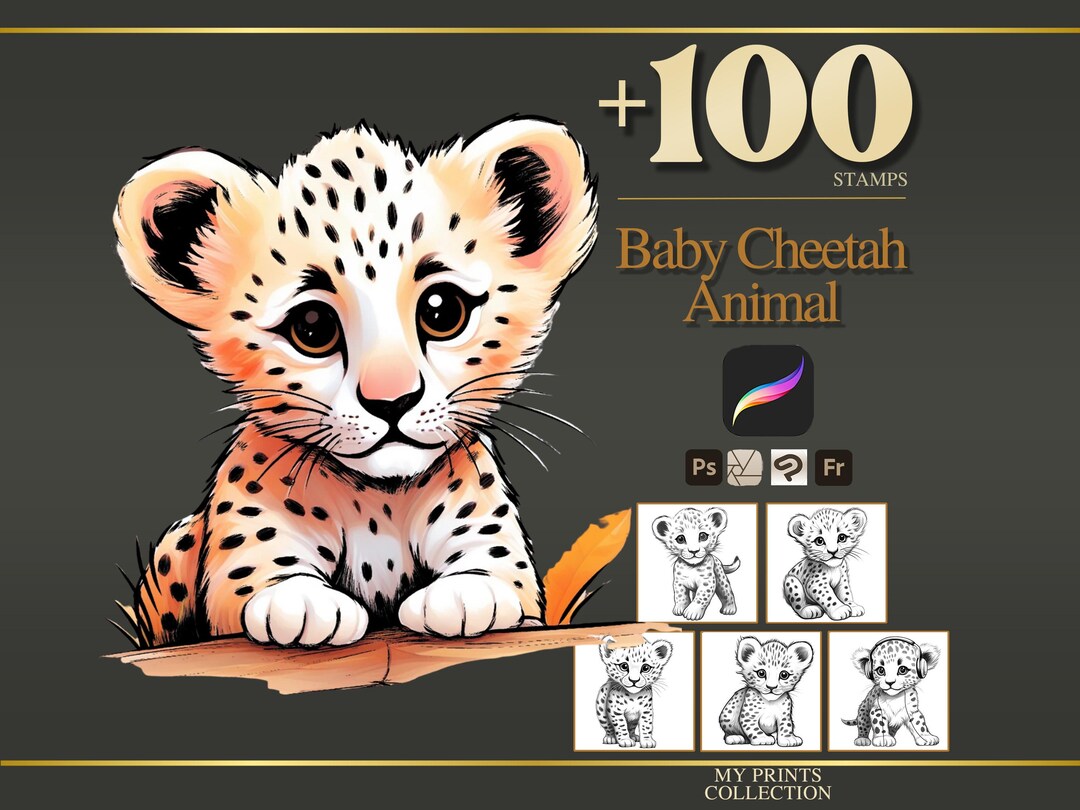 Baby Cheetah Procreate Stamps & Photoshop Brushes – 100+ Realistic ...