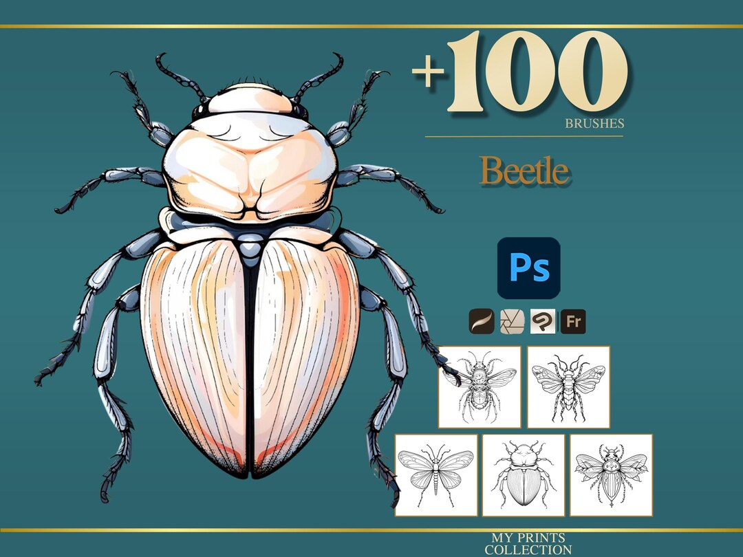 Beetle Photoshop Brushes & Procreate Stamps – 100+ Realistic Insect Bug ...