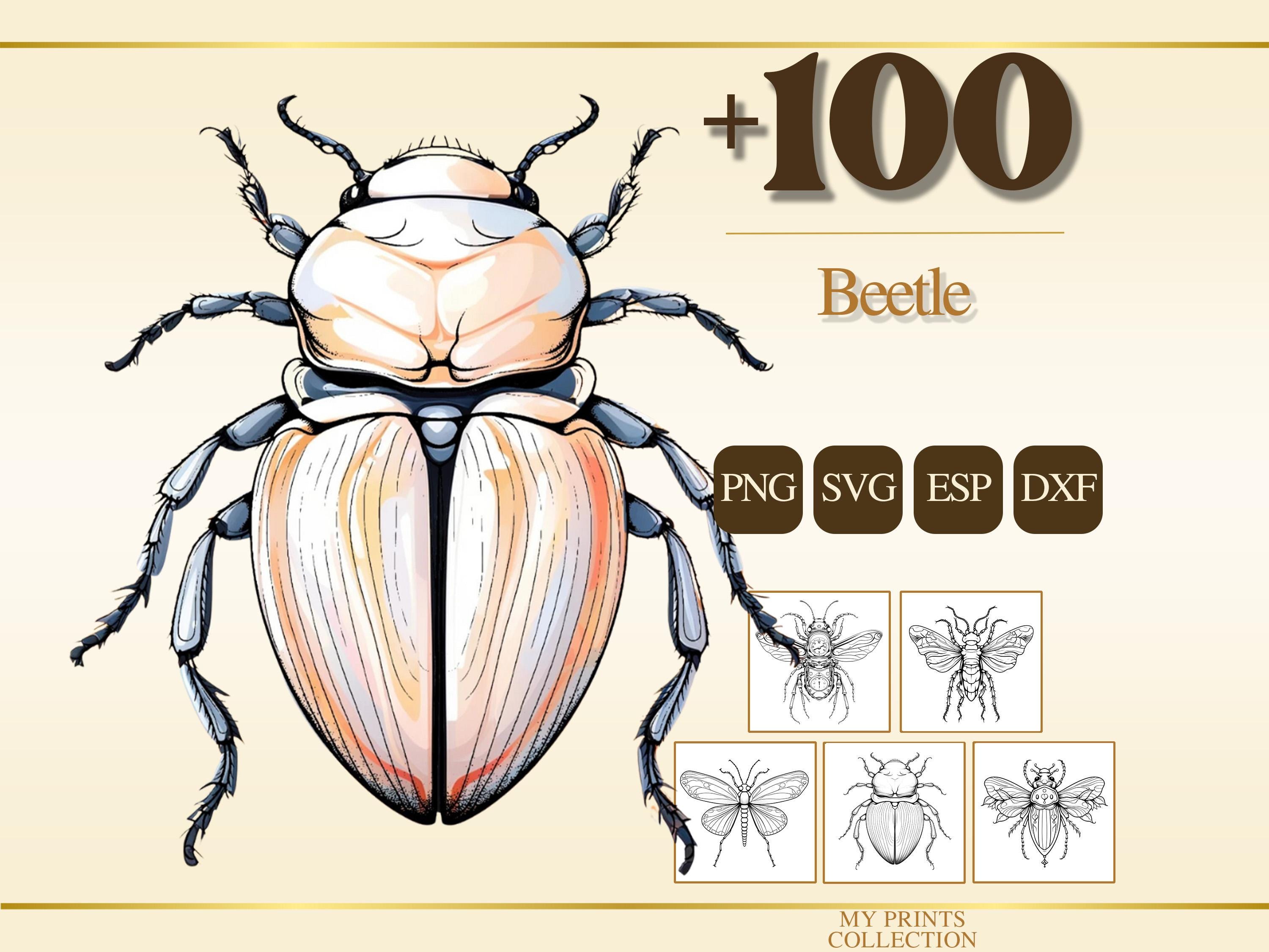 Insect Dxf Beetle PNG Bundle – 100+ Cricut & Silhouette Files, SVG, DXF, Eps ...