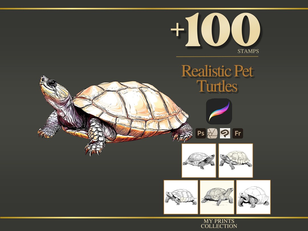 Turtles Pet Realistic Procreate Stamps & Photoshop Brushes – 100 ...