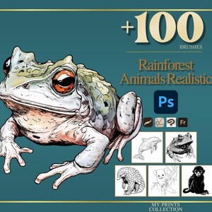 Puede incluir: Ilustración de una rana grande con ojos anaranjados y piel texturizada verde y blanca. La imagen incluye el texto "+100 BRUSHES Rainforest Animals Realistic Ps" y varios bocetos de animales, todo sobre un fondo verde azulado.