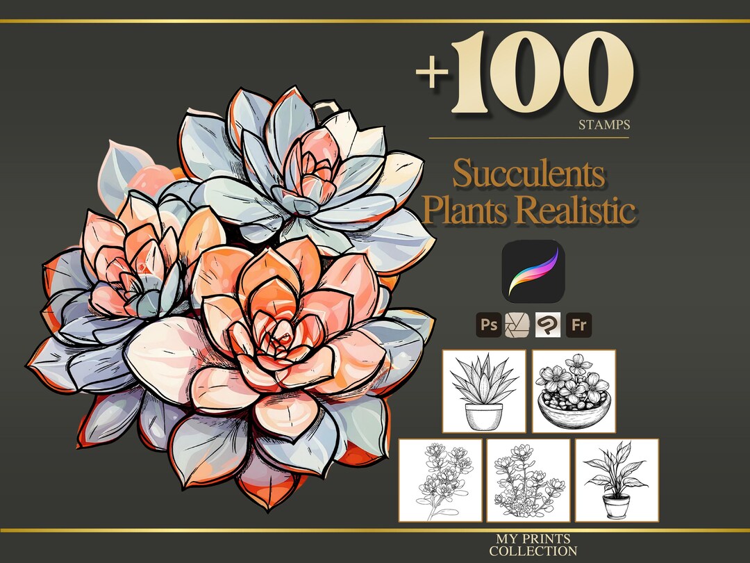 Succulents Plants Realistic Procreate Stamps & Photoshop Brushes – 100 ...