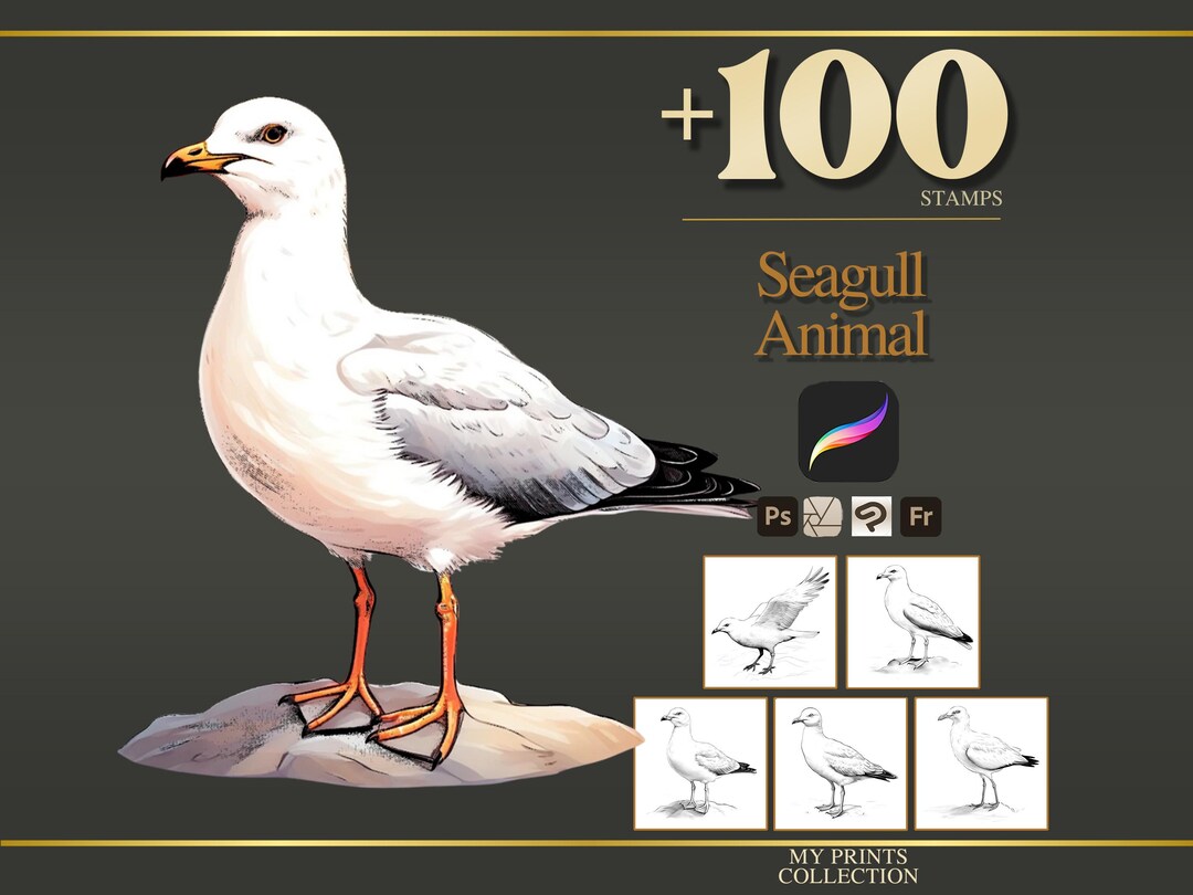 Seagull Procreate Stamps & Photoshop Brushes – 100+ Realistic Animal ...