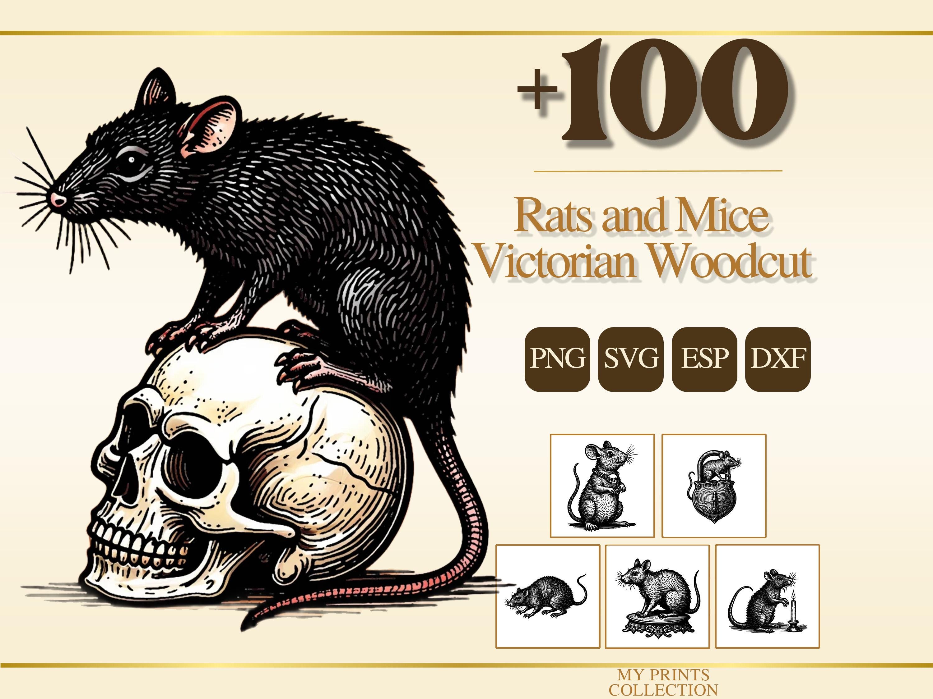 Victorian Rats Rats and Mice Victorian Woodcut PNG Bundle – 100+ Cricut & Silhouette ...