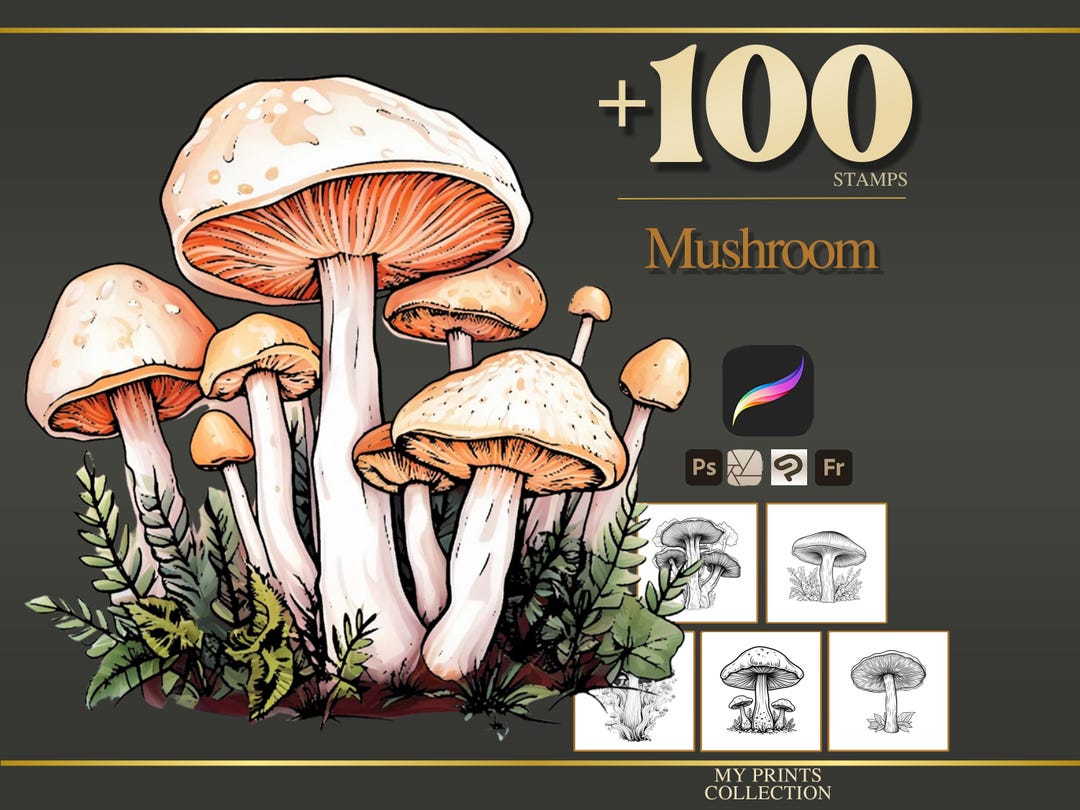 Mushroom Procreate Stamps & Photoshop Brushes – 100+ Flower Botanical ...