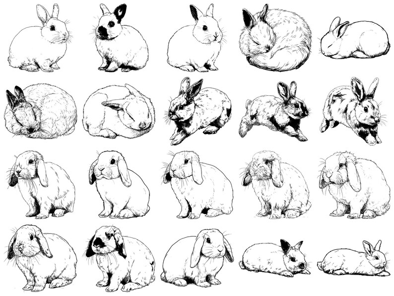 Rabbit Pet Realistic Photoshop Brushes & Procreate Stamps – 100+ Tattoo ...