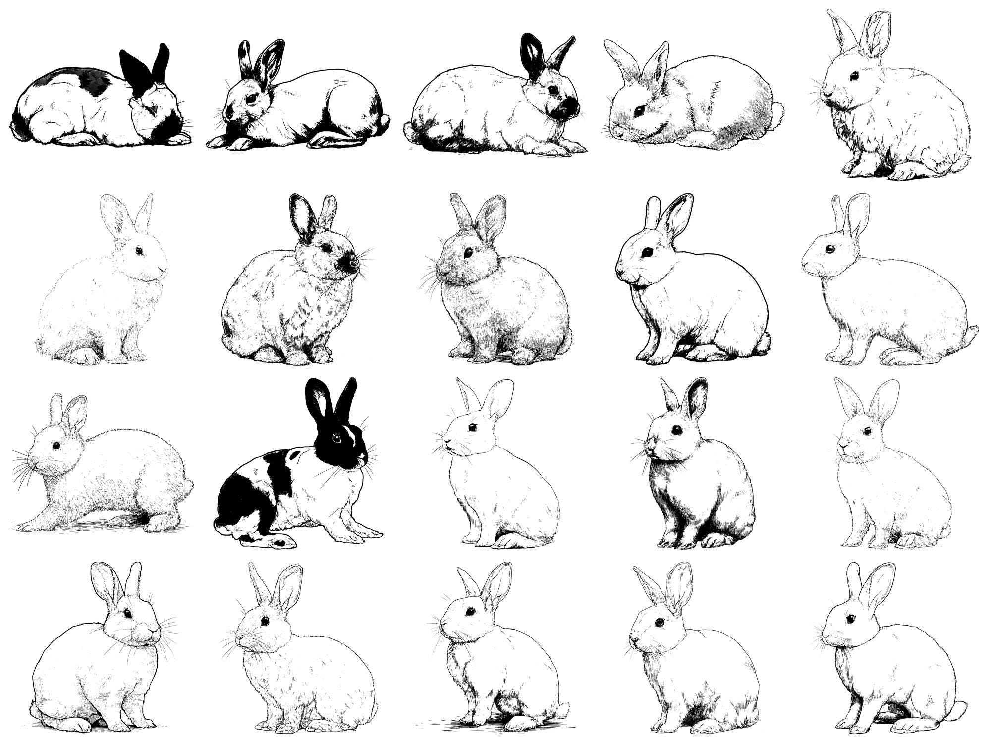 Rabbit Pet Realistic Photoshop Brushes & Procreate Stamps – 100+ Tattoo ...