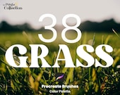 Grass Procreate Texture Brush Pattern - 38 Seamless Texture Brushset, Digital Texture Design Tool