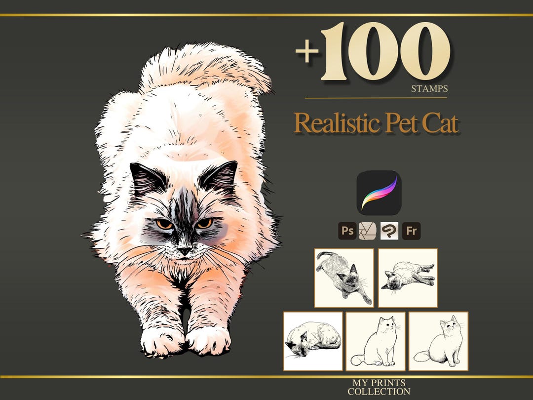 Cat Pet Realistic Procreate Stamps & Photoshop Brushes – 100+ Tattoo ...