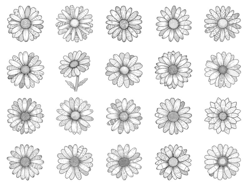 Daisy Meadow Patchwork Photoshop Brushes & Procreate Stamps – 100 ...