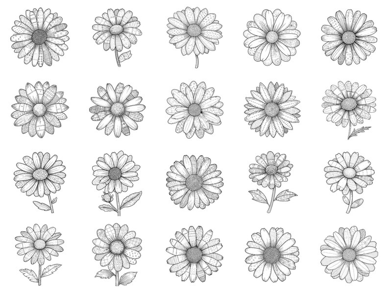 Daisy Meadow Patchwork Photoshop Brushes & Procreate Stamps – 100 ...