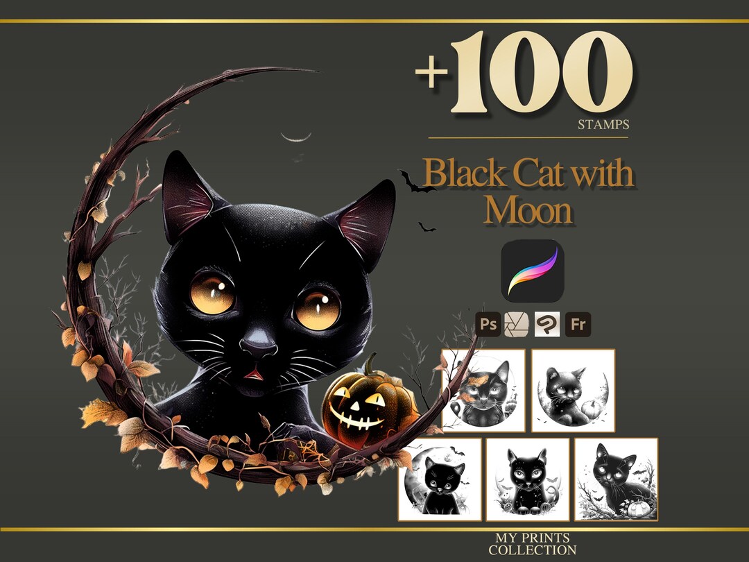 Black Cat Moon Halloween Procreate Stamps & Photoshop Brushes – 100 ...