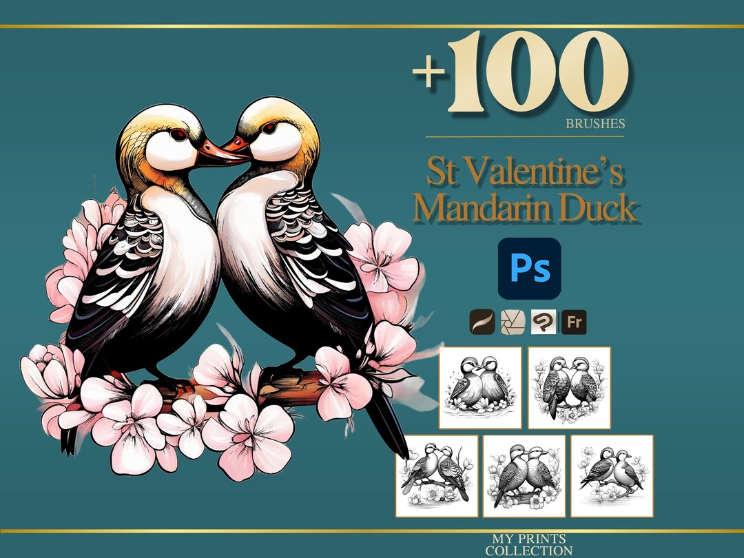 St Valentines Mandarin Duck Couple Photoshop Brushes & Procreate Stamps ...