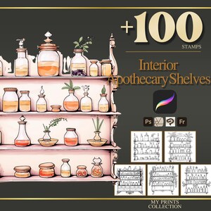Apothecary Shelves Procreate Stamps & Photoshop Brushes – 100+ Interior Room Design Tattoo, Illustration, Line Art, Stencil, Brush Pack
