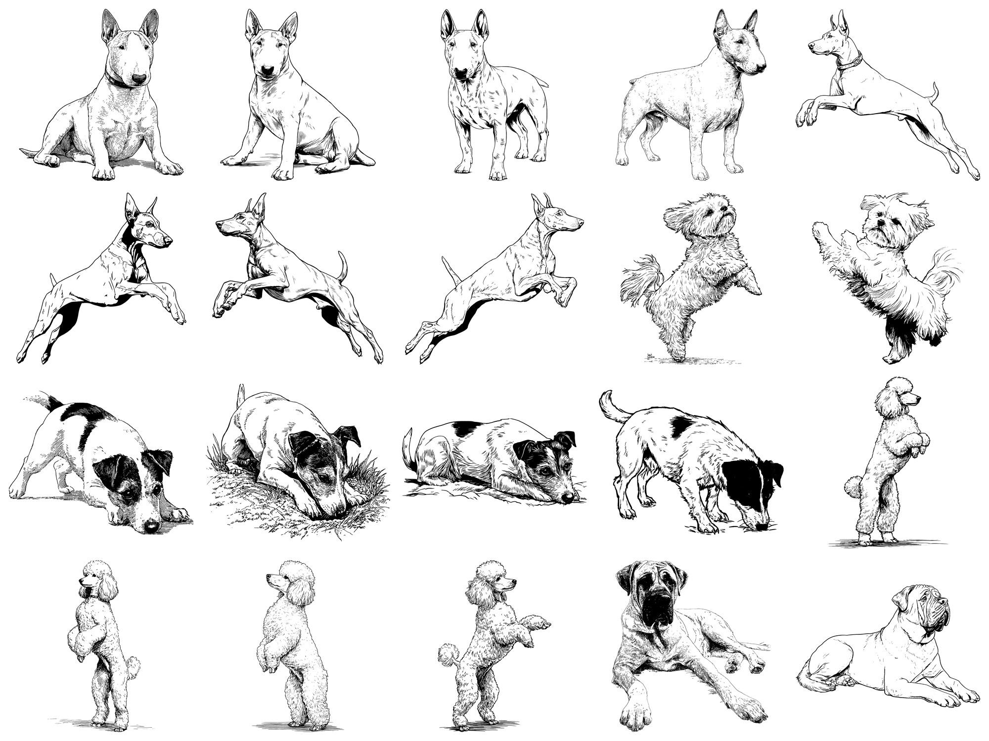 Dog Pet Realistic Photoshop Brushes & Procreate Stamps – 100+ Tattoo ...