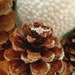 see more listings in the Bagues section
