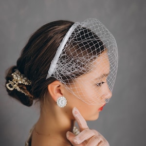 Birdcage veil on headband, French veil netting headpiece, Veil Hair Accessories.