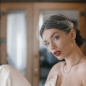 Pearl Birdcage Veil: Handmade Bridal Headpiece with Combs