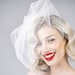 see more listings in the Birdcage veil section