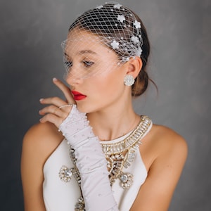 Birdcage Veil With Pearls And Little Flowers On The Two Combs.