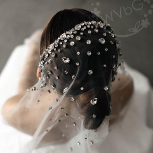 May include: A black veil with sparkling rhinestones. The veil is adorned with numerous clear, round and teardrop-shaped rhinestones, creating a shimmering effect. The veil is draped over a person's head and shoulders, with the back of the head visible.